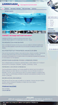 Mobile Screenshot of laserflash.be